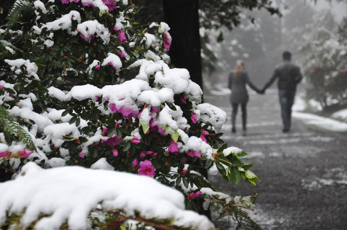 Imagem da cidade de Gramado ao entardecer, destacando atrações turísticas e arquitetura local, refletindo o preparo para o futuro do turismo em Gramado.